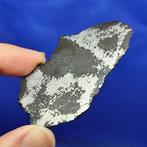 Météorite de fer silicatée Campo del Cielo (Argentine, il y