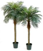 Kunstplant Phoenix Palmboom 150 cm, Huis en Inrichting, Verzenden