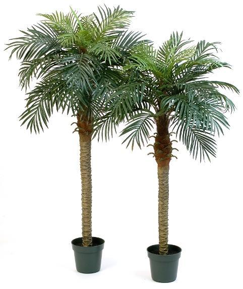 Kunstplant Phoenix Palmboom 150 cm, Maison & Meubles, Plantes d'intérieur, Envoi