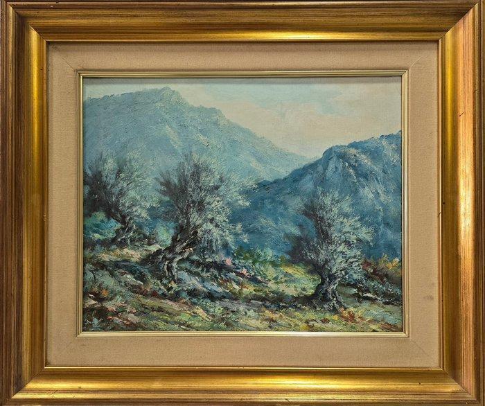 École Française (XX) - Des oliviers calmes, Antiek en Kunst, Kunst | Schilderijen | Klassiek