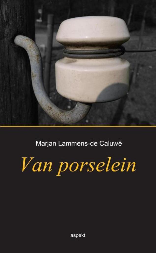 Van porselein 9789461535757 Marjan Lammens-de Caluwé, Boeken, Literatuur, Zo goed als nieuw, Verzenden