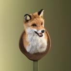 Vos Taxidermie Opgezette Dieren By Max, Ophalen of Verzenden, Opgezet dier