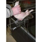 Appareil à castrer porcelet 2-9 jours, inox, sans support -