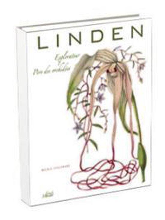 Jean Linden explorateur 9789061536307 Nicole Ceulemans, Livres, Art & Culture | Arts plastiques, Envoi