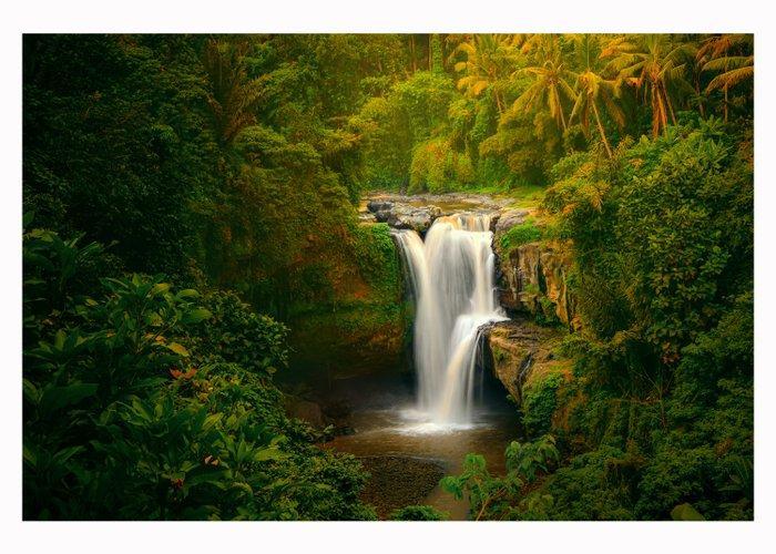 Elena Paraskeva - Balinese Jungle (2012) - XL, Antiek en Kunst, Kunst | Designobjecten