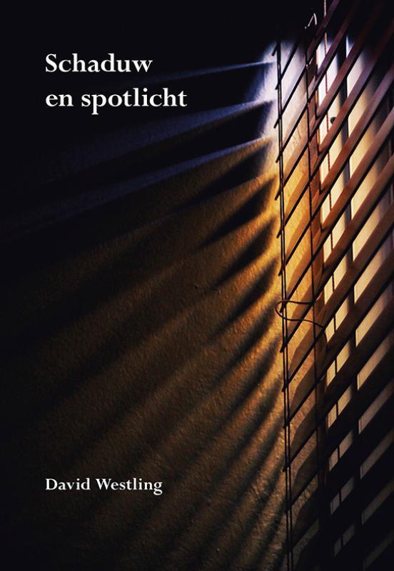 Schaduw en spotlicht 9789463654753 David Westling, Boeken, Literatuur, Zo goed als nieuw, Verzenden