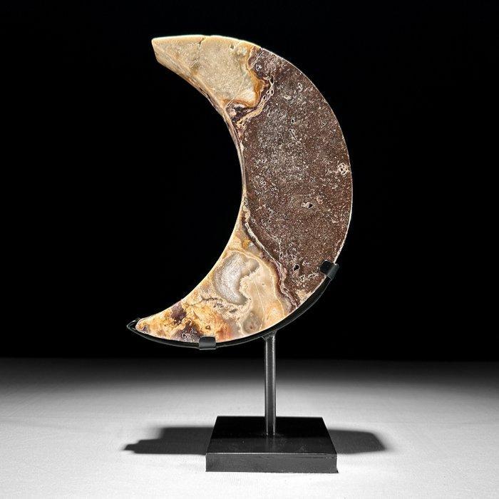 GEEN RESERVEPRIJS - Prachtig versteend hout Maansvormig op, Antiquités & Art, Art | Objets design