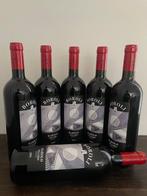 2009 Achille Boroli, Villero - Barolo DOCG - 6 Flessen (0.75, Nieuw