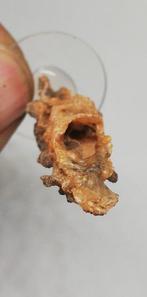 6 FULGURITES (Bliksemslag). Léchateliérite. (Zonder
