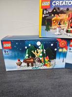 Lego Set - Seasonal - Santas Front Yard (40484) - Winter