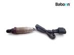 Lambda Sonde Can-Am Spyder GS 2008-2009 SE5, Motoren, Onderdelen | Overige, Verzenden, Gebruikt
