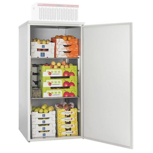 Mini Koelcel REFRIBOX, Elektronische apparatuur, Vriezers en Diepvrieskisten, Ophalen of Verzenden