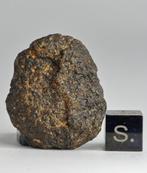 Météorite dureilite, NWA 17031. Avec une occurrence de