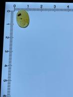 Amber - Barnsteen - Isopoda, Burmese Amber, Insect Amber,013, Verzamelen, Mineralen en Fossielen