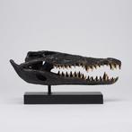 Sculpture, Saltwater Crocodile Skull fashioned in bronze, on