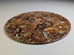 Decoratief schijfje gemaakt van ammonieten - Gefossiliseerde