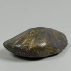 Mexico - Westkust. Guerrero Steen voet - 10 cm