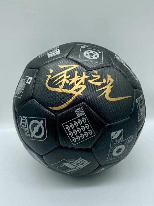 FIFA World Cup - 2022 - Ballon de football, Verzamelen, Overige Verzamelen