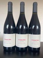 2017 Bodega Chacra Cincuenta y Cinco 55 Pinot Noir -