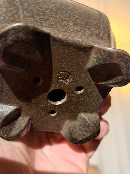 Jeneverbes bonsai (Juniperus) - Hoogte (boom): 15 cm -, Antiek en Kunst, Curiosa en Brocante