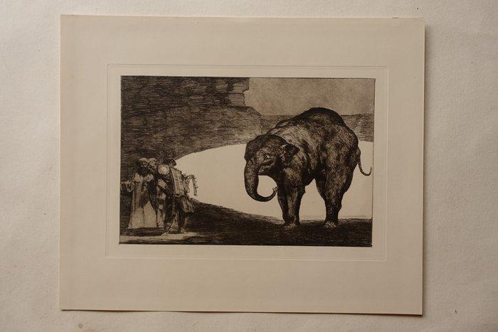 Francisco de Goya (1746-1828) after - Proverbios : Otras, Antiek en Kunst, Antiek | Overige Antiek
