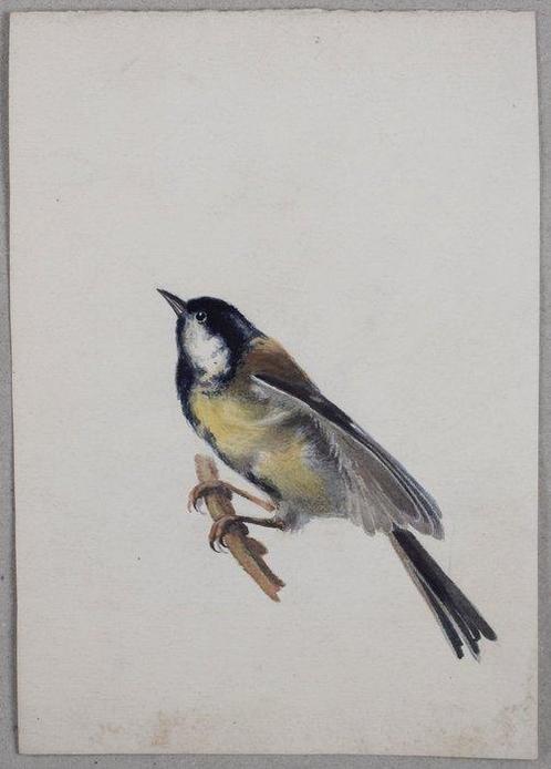 Alexandre Guelle - Oiseaux #1, Antiek en Kunst, Kunst | Designobjecten