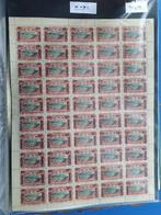 Belgisch-Congo 1909/1923 - Verzameling op  type en tanding, Postzegels en Munten, Postzegels | Europa | België, Gestempeld