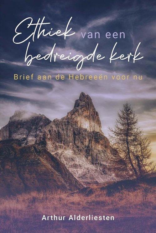 Ethiek van een bedreigde kerk 9789402908770, Boeken, Godsdienst en Theologie, Zo goed als nieuw, Verzenden