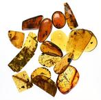 17 Grote stukken Birmese Amber - Barnsteen, Verzamelen, Mineralen en Fossielen
