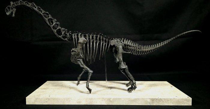 Camarasaurus Taxidermie volledige montage - Replica, Verzamelen, Mineralen en Fossielen