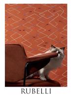 Rubelli - New Collection Nieuwe set van twee - Kussen