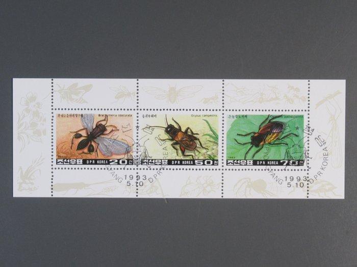 De hele wereld - De hele wereld - meer dan 600 blokken,, Postzegels en Munten, Postzegels | Amerika