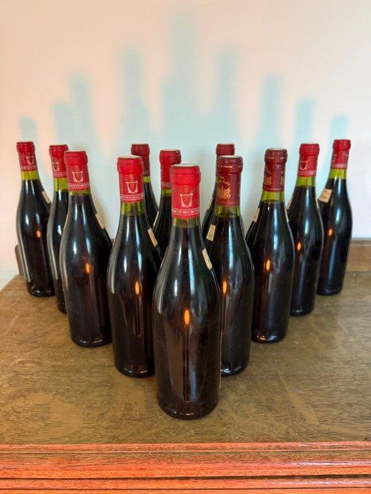 1988 Chateauneuf-du-pape Mas Saint-Louis -, Verzamelen, Wijnen