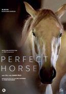 Perfect horse op DVD, Verzenden
