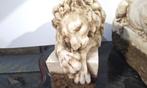 Sculpture, Coppia di leoni sdraiati - 22 cm - Marbre, Antiquités & Art
