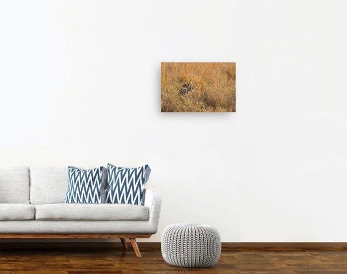 Marco Marchioni - Leopard, Antiek en Kunst, Kunst | Designobjecten