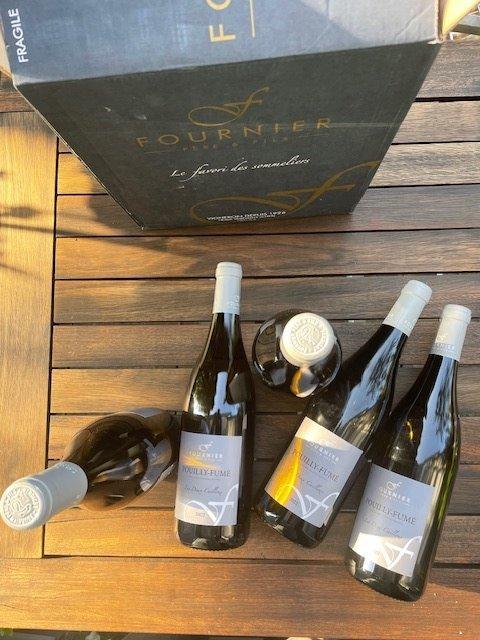2022 Fournier Père & Fils Les Deux Cailloux - Pouilly Fumé, Verzamelen, Wijnen
