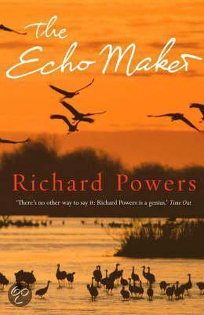 The Echo Maker 9780434016327 Richard Powers, Boeken, Taal | Engels, Gelezen, Verzenden