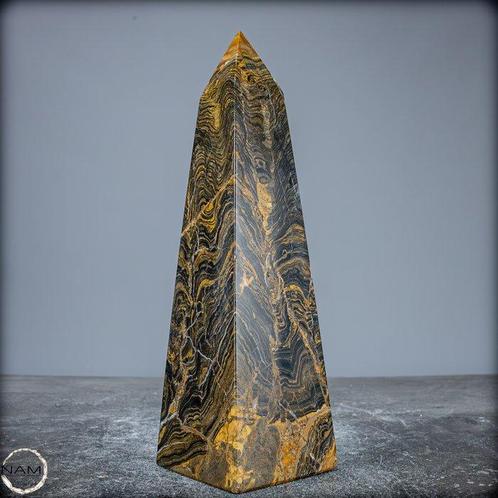Algues fossilisées très rares Obélisque- 704.47 g, Verzamelen, Dierenverzamelingen