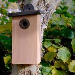 NIEUW - Nestbox Catproof Simon King