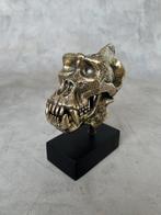 Sculpture, NO RESERVE PRICE - Gorilla Skull Sculpture - 15