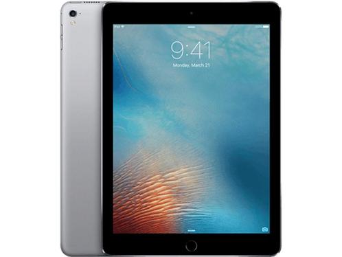 Apple iPad Pro - Wi-Fi 256GB (2016) - Grijs, Computers en Software, Apple iPads, Zo goed als nieuw, Verzenden