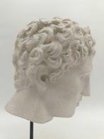 sculptuur, Testa di Eros - 33 cm - marmerstof