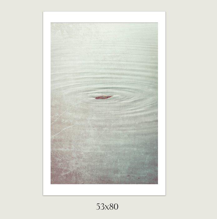 Jorge Omeñaca (1981) - Life circles, Antiek en Kunst, Antiek | Overige Antiek