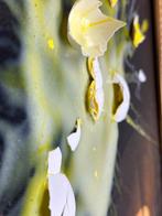 Santicri - Desecrated, La Dama con lErmellino, Antiek en Kunst