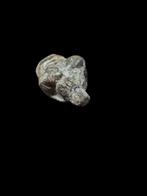 Oud-Romeins Brons Roman ornament ( Ram Head ) , Rare