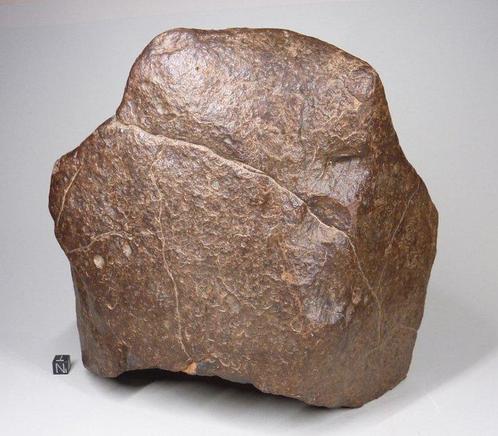 NWA niet-geclassificeerde Sahara Steen meteoriet - 10.7 kg, Verzamelen, Mineralen en Fossielen