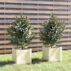 vidaXL Plantenbakken 2 st 31x31x31 cm massief grenenhout wit, Verzenden, Nieuw