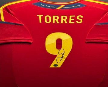 Spanje - Europese voetbal competitie - Fernando Torres -
