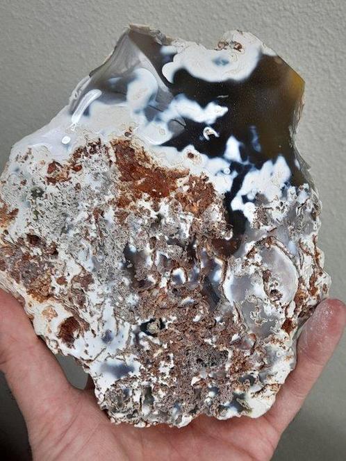 Deux grands morceaux rares dorca agate - Hauteur : 15 cm -, Verzamelen, Mineralen en Fossielen